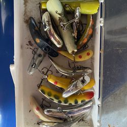 Flat Fish Lures for Sale in Chino, CA - OfferUp