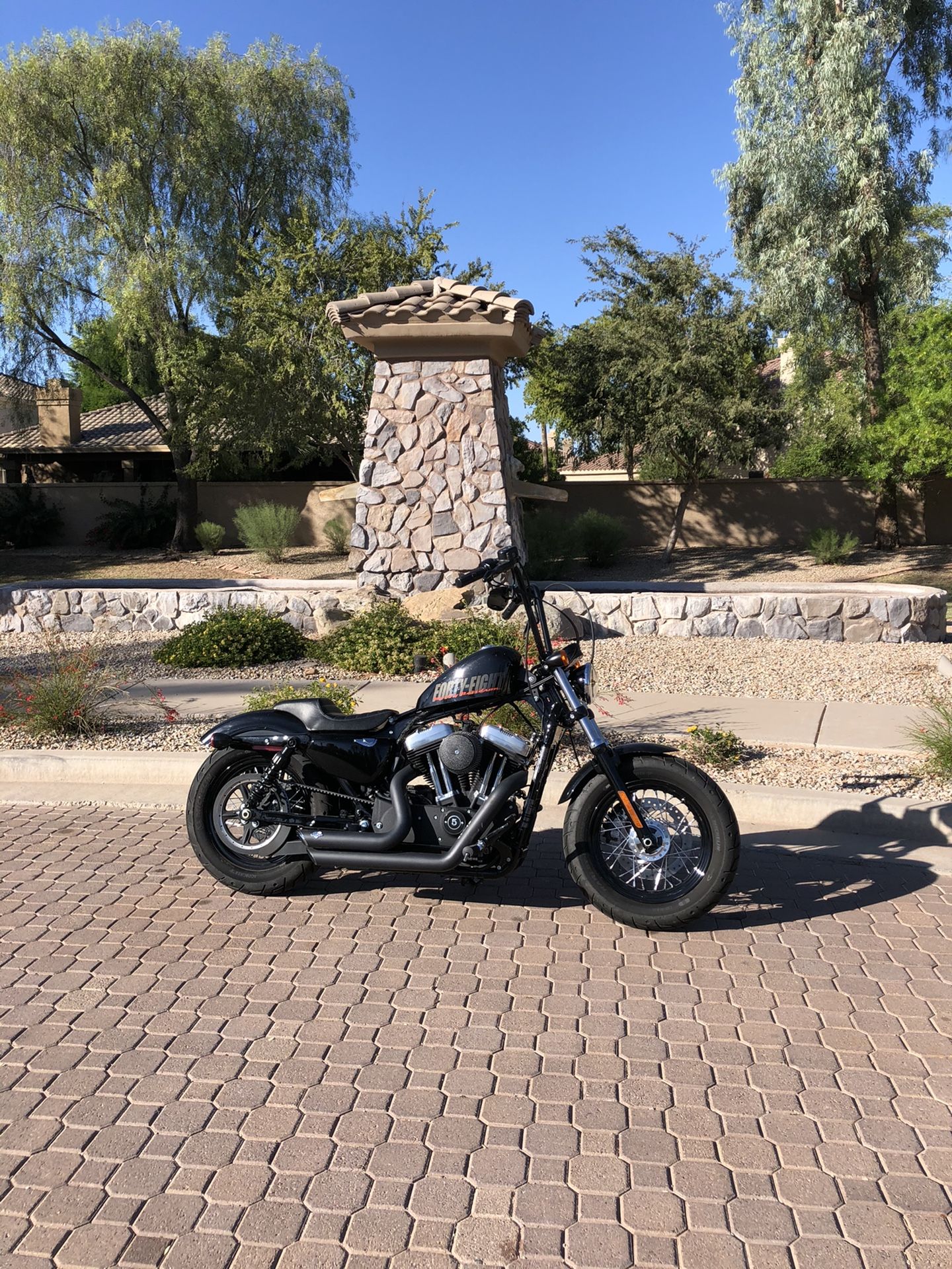 2015 Harley Davidson 48 XL1200X