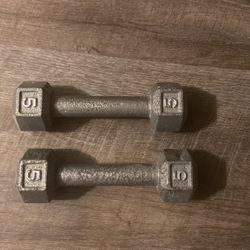 Two 5 Pound Handheld Barbell Dumbbell Weights 