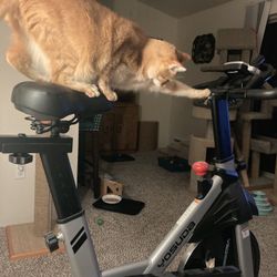 Yosuda Magnetic Plus Indoor Spin Bike, Stationary Bike