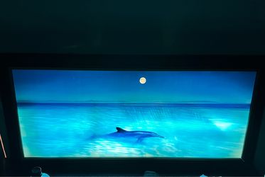 LIGHT UP DOLPHIN PICTURE / MIRROR WITH OCEAN / WAVE SOUND