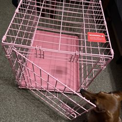 Pink 24” Folding Dog Crate – Great Condition