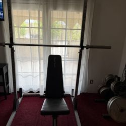 Bench Press / Squat Rack Must Go. 