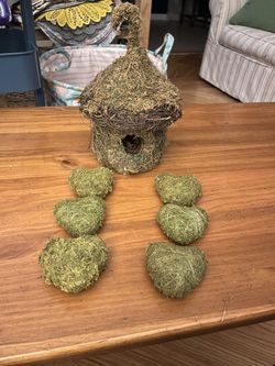 Moss Bird House And Decor 