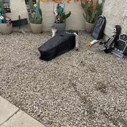Outdoor Halloween Decoration