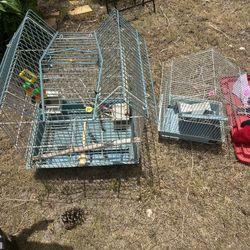 Bird Cages