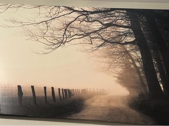 Large framed art