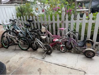 Bike and tricycle