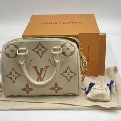 Louis Vuitton Hand Bag