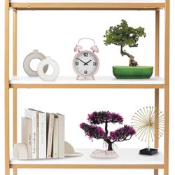 Gold Bookshelf | 5 Tier Modern Bookshelf, Storage Shelves Display for Home Furniture, Rugged Metal Frame,
