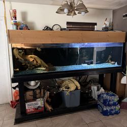 240 Gallon Aquarium Tank 