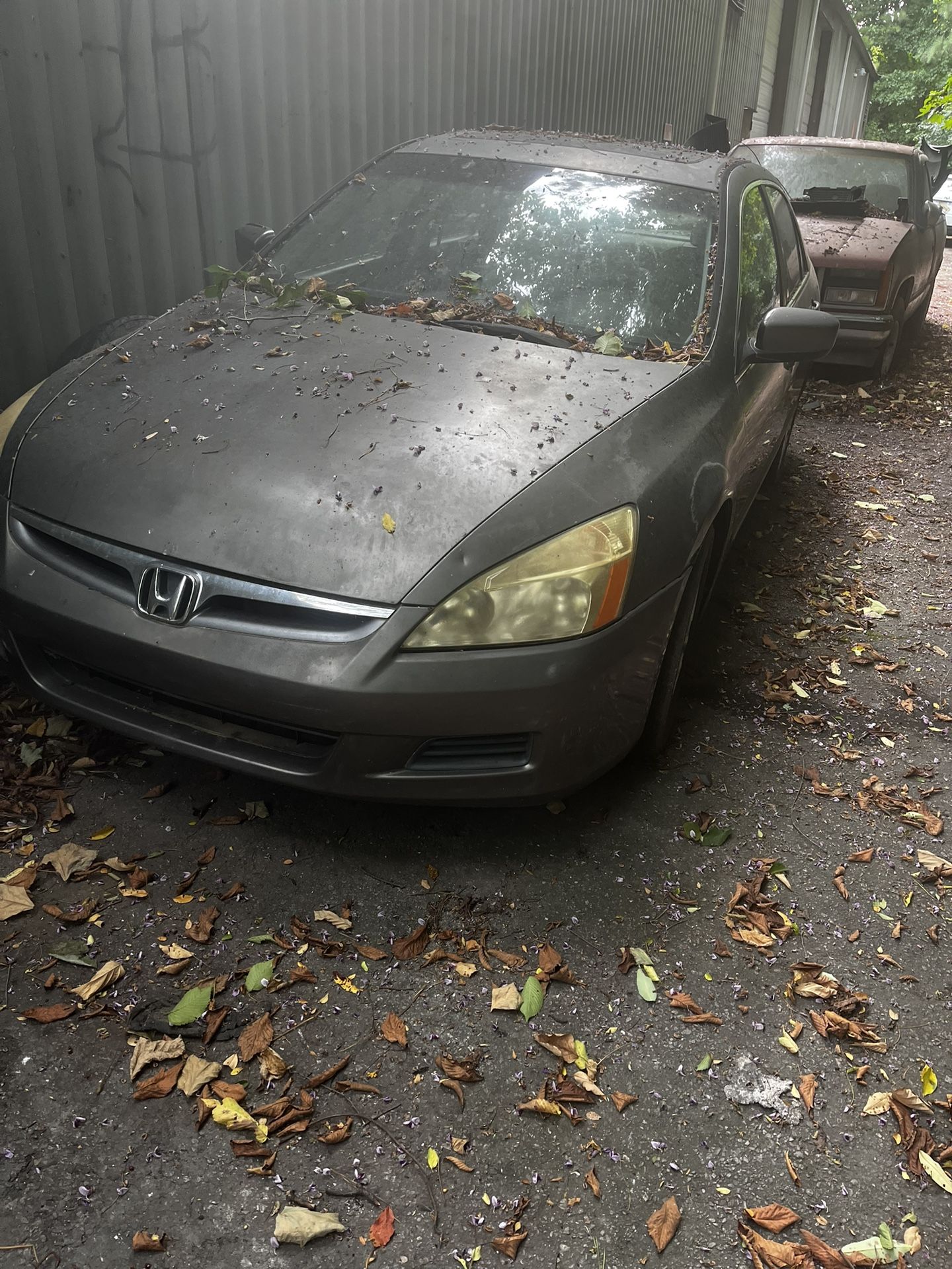 2006 Honda Accord