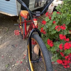27.5 Custom La Plaga 