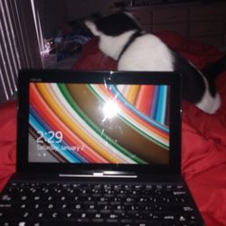 ASUS 2 in 1 Tablet W/ Keyboard