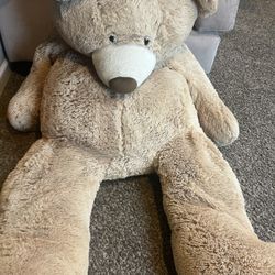 Costco giant Bear 🐻 