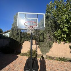 Basketball Hoop- Lifetime  Adjustable Professional Portable (52-Inch Polycarbonate) 