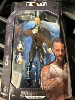 CM PUNK