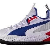 Puma uproars palace Guard 