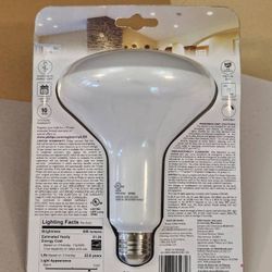 Philips BR40 LED Bulb 10W Daylight 65W Replacement, OEM, E26 Base