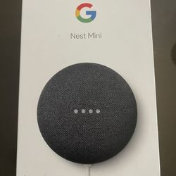 Google Nest Mini