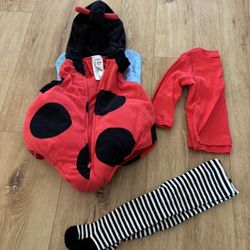 Lady Bug Halloween Costume