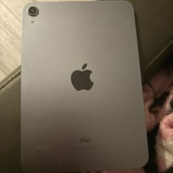 ipad mini 6 purple 