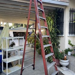 Excellent Condition, Fiberglass Variety Of Ladders