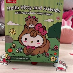 Hello Kitty And Friends Capybara Blind Box