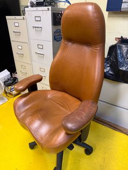 Leather Lifeform Chair