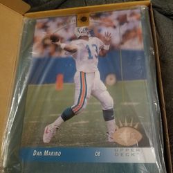 miami Dolphins collectible 8x10 Limited Edition Dan Mario card And Vintage Jersey!