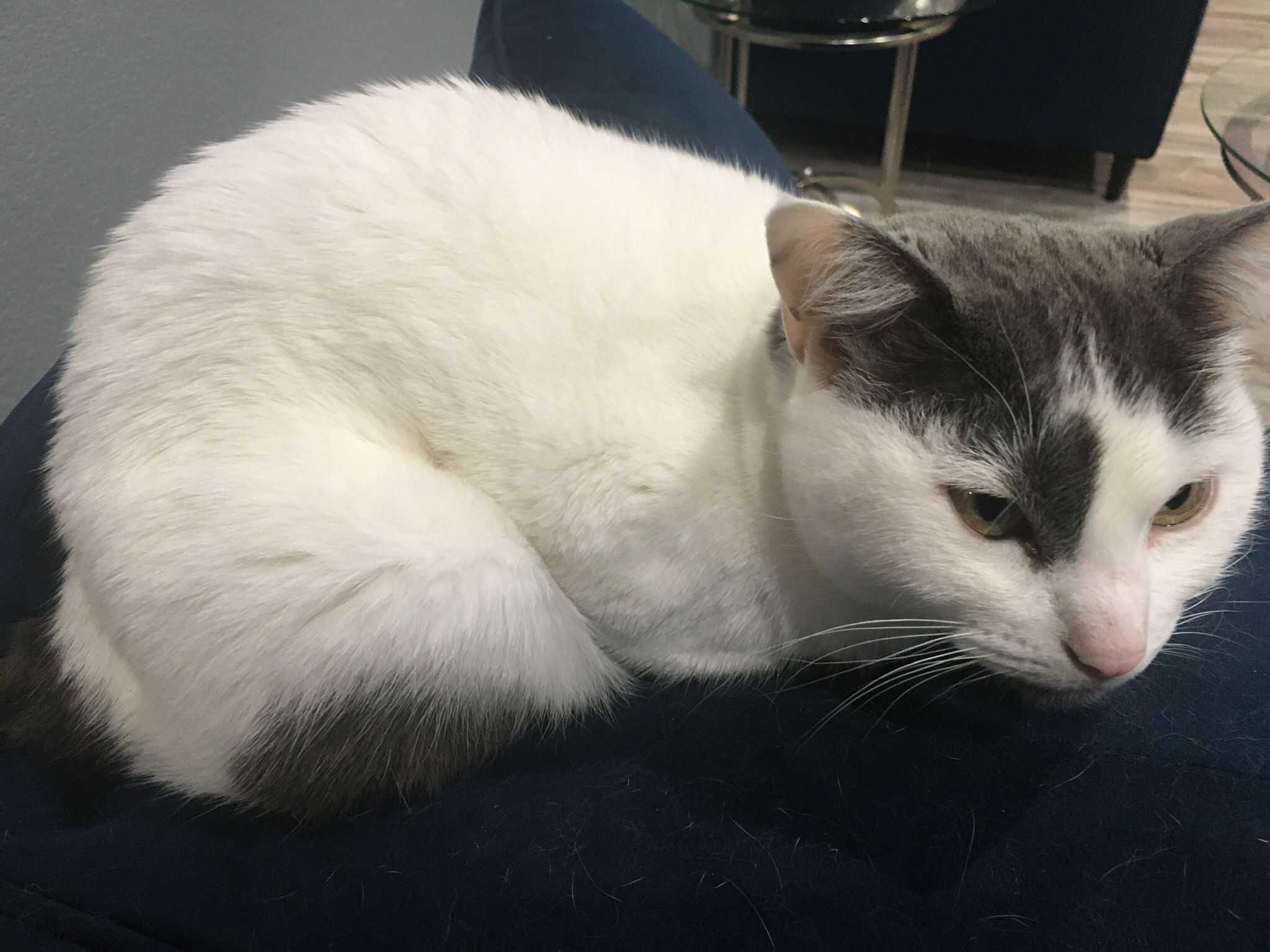 Monetized YouTube Channel