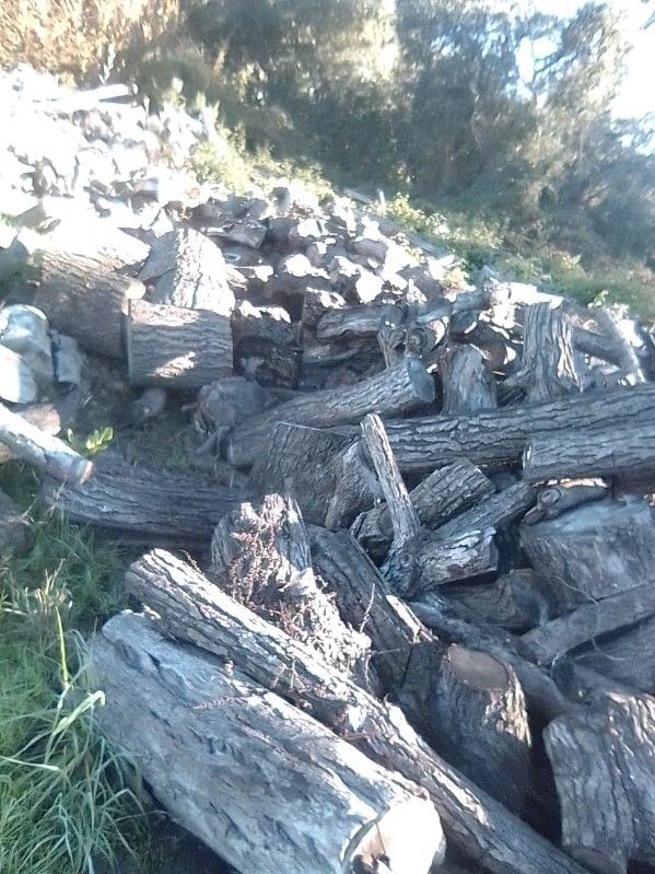 Seasoned Firewood For Sale