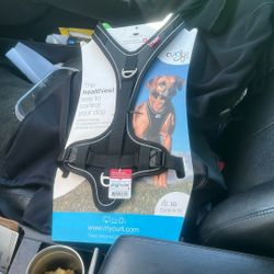 Curly Dog Harness Large 