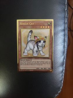 Gold Rescue Cat Alt Art