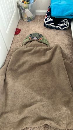 Cuddling blanket
