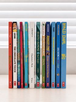 Children’s Chapter Book Bundle – 12 Books