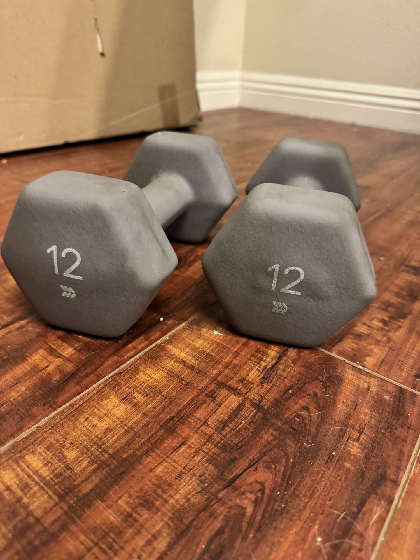 Set of 12 lb Dumbbells – $20 for both