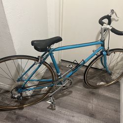 Shogun Bike Very Small 