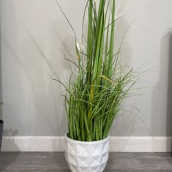 Artificial Decorative Plant With Ceramic Pot