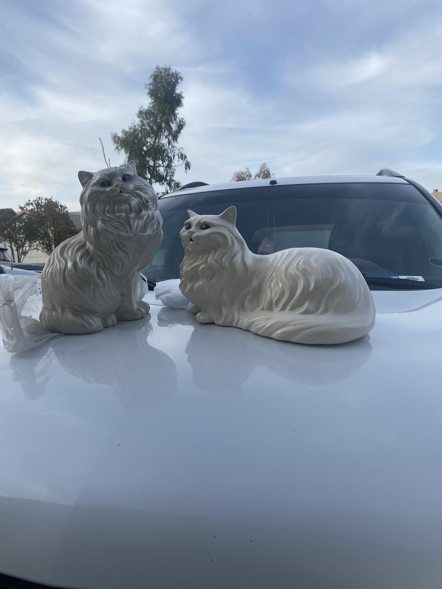 Cat Statues