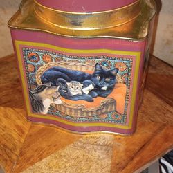 Cat Tin