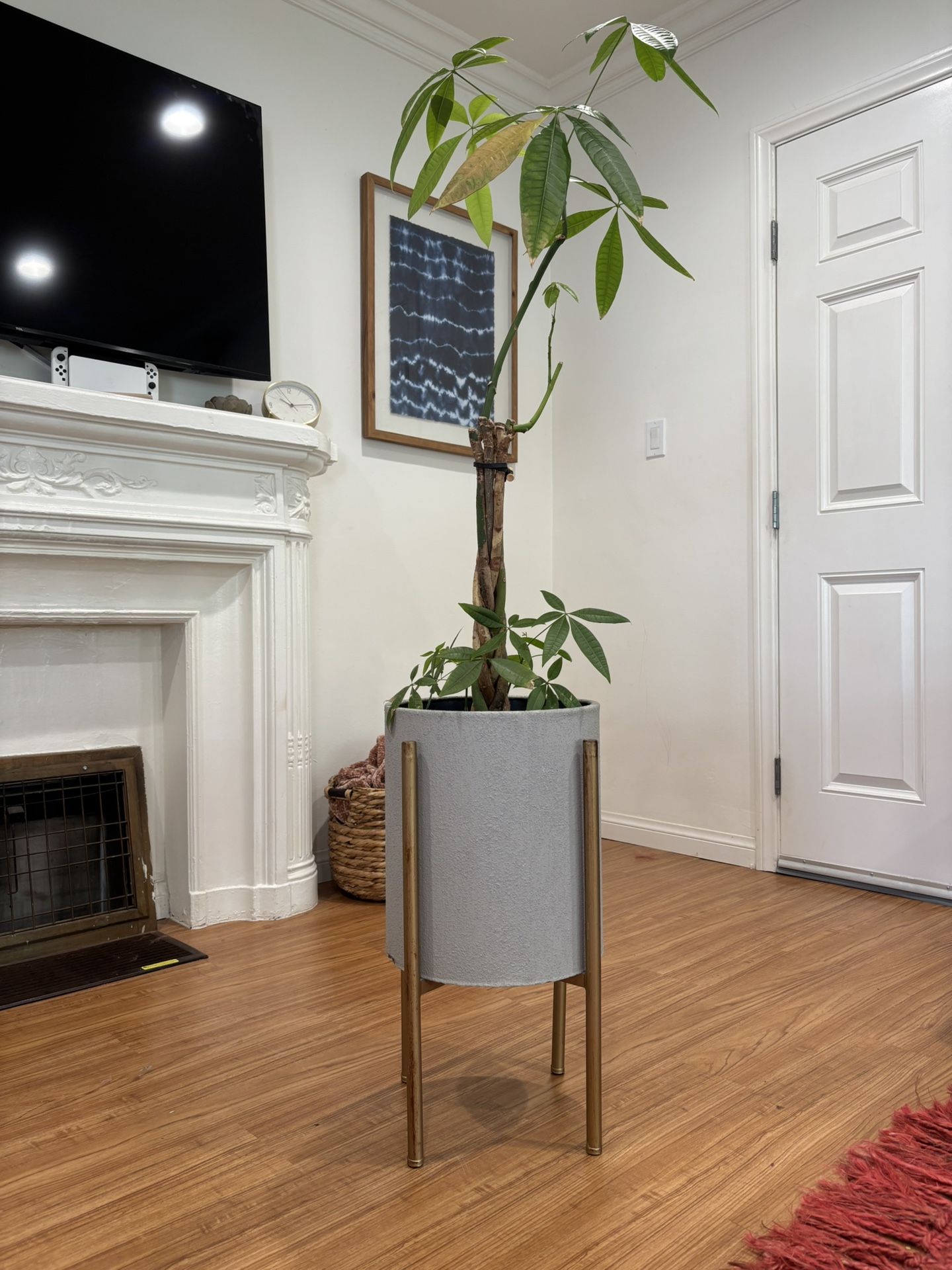Planter and Plant Stand