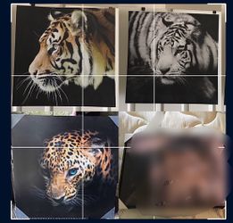 3 Wild Big Cats (Leopard, tiger, white tiger) Decorative wall hanging canvas art