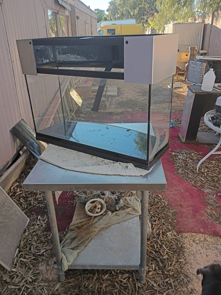 50 Gallon Tank All Kinds Of Extras Filter Lights 