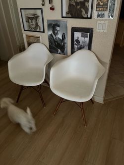 White Chairs