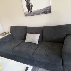 Gray Living Room sofa