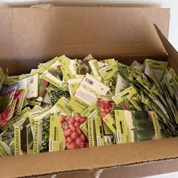 Box Of Vegetable Seeds 