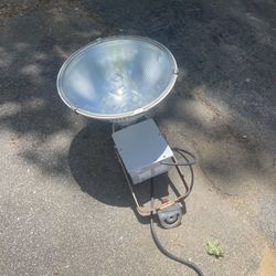 Larson 20in Stadium Flood Light