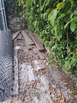 2x6 6x4 And Miselanius Woods As Long As 30 Feet Long