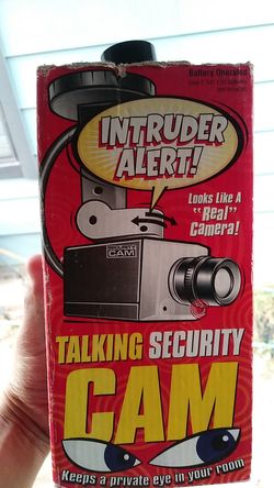 Fake security camera